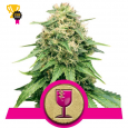 Critical - Royal Queen Seeds